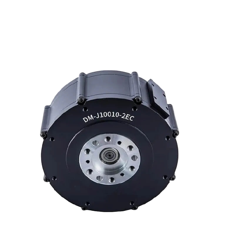 DAMIAO DM-J10010-2EC Motor