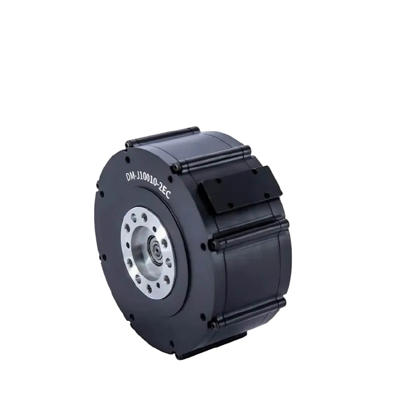 DAMIAO DM-J10010-2EC Motor