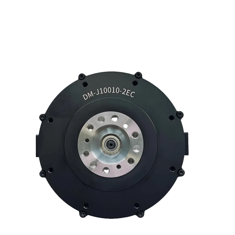 DAMIAO DM-J10010-2EC Motor