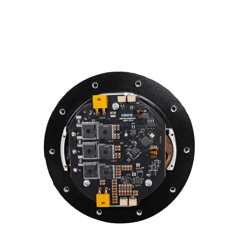 DAMIAO DM-J10010L-2EC Motor