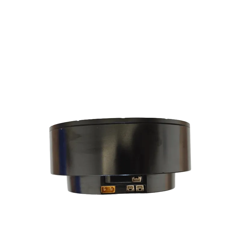 DAMIAO DM-J10010L-2EC Motor