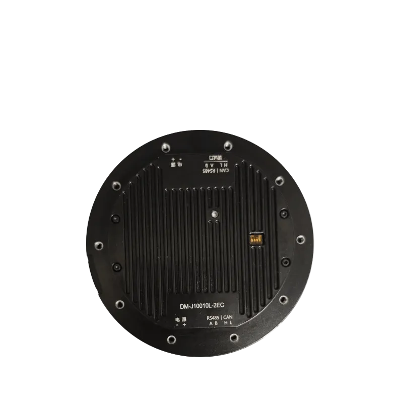 DAMIAO DM-J10010L-2EC Motor
