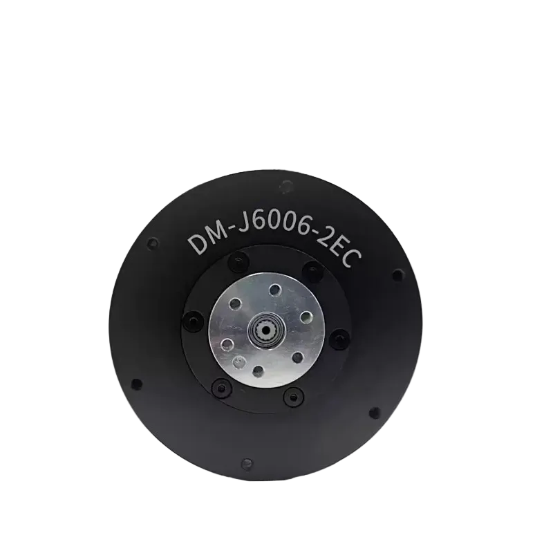 DAMIAO DM-J6006-2EC Motor