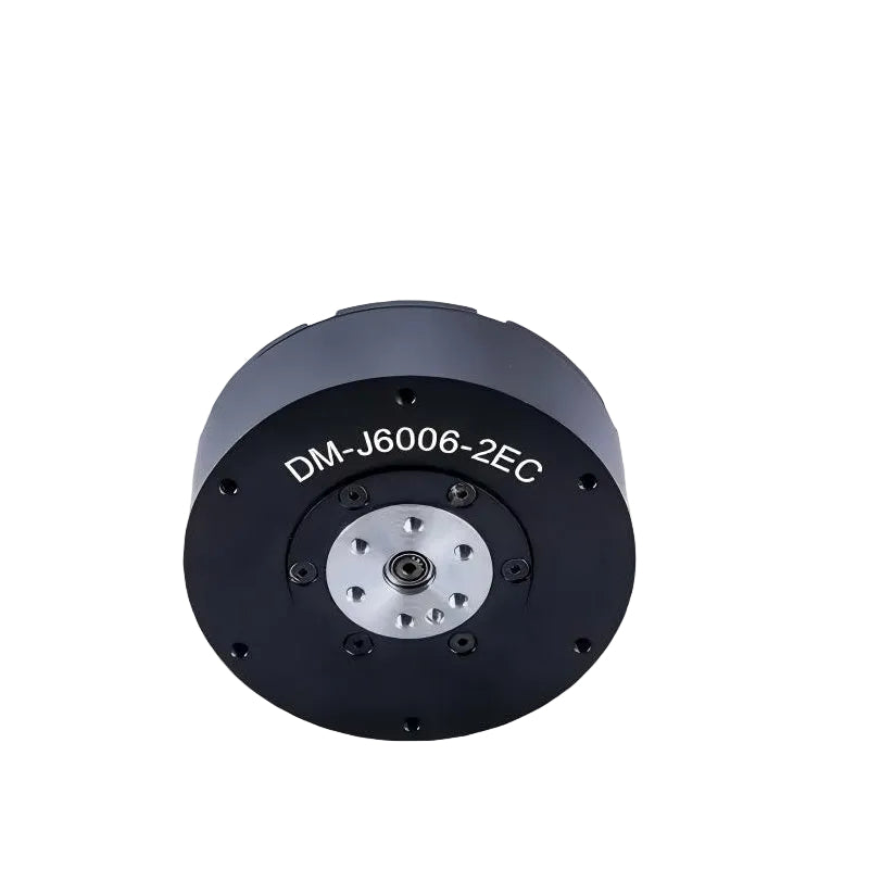 DAMIAO DM-J6006-2EC Motor