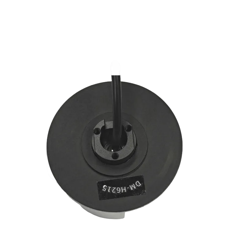DAMIAO DM-H6215 Motor