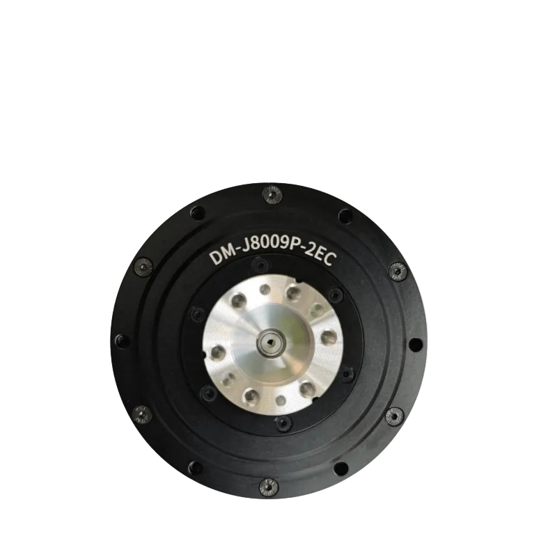 DAMIAO DM-J8009P-2EC Motor