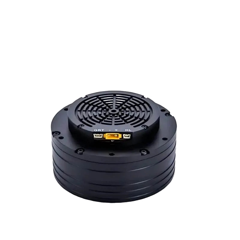 DAMIAO DM-J8009P-2EC Motor