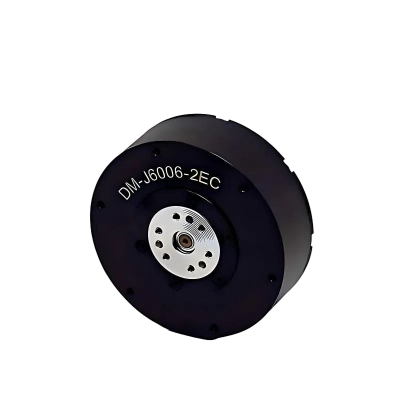 DAMIAO DM-J6006-2EC Motor