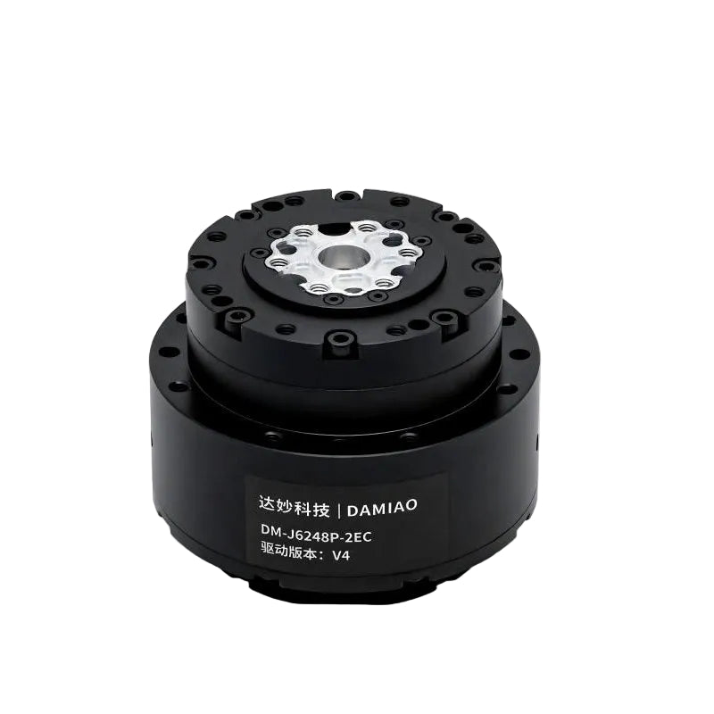 DAMIAO DM-J6248P-2EC Motor