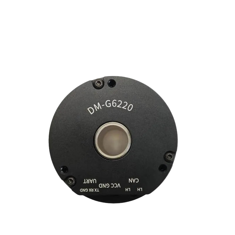 DAMIAO DM-G6220 Motor