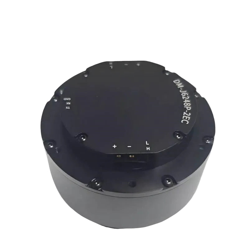 DAMIAO DM-J6248P-2EC Motor