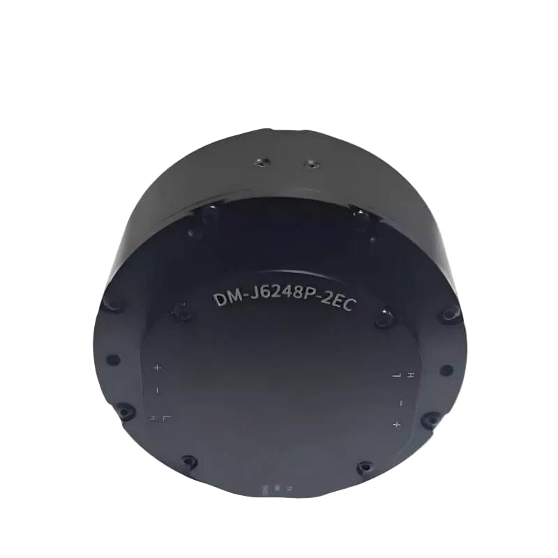 DAMIAO DM-J6248P-2EC Motor